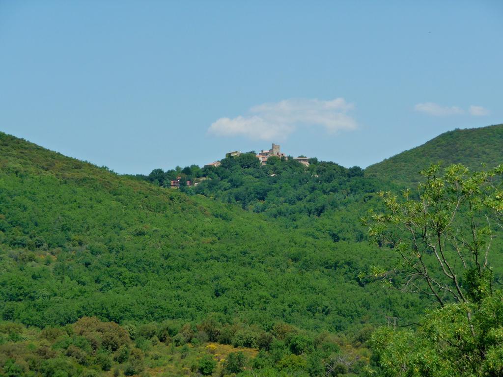 Chateau Olmet Lodève Exteriör bild